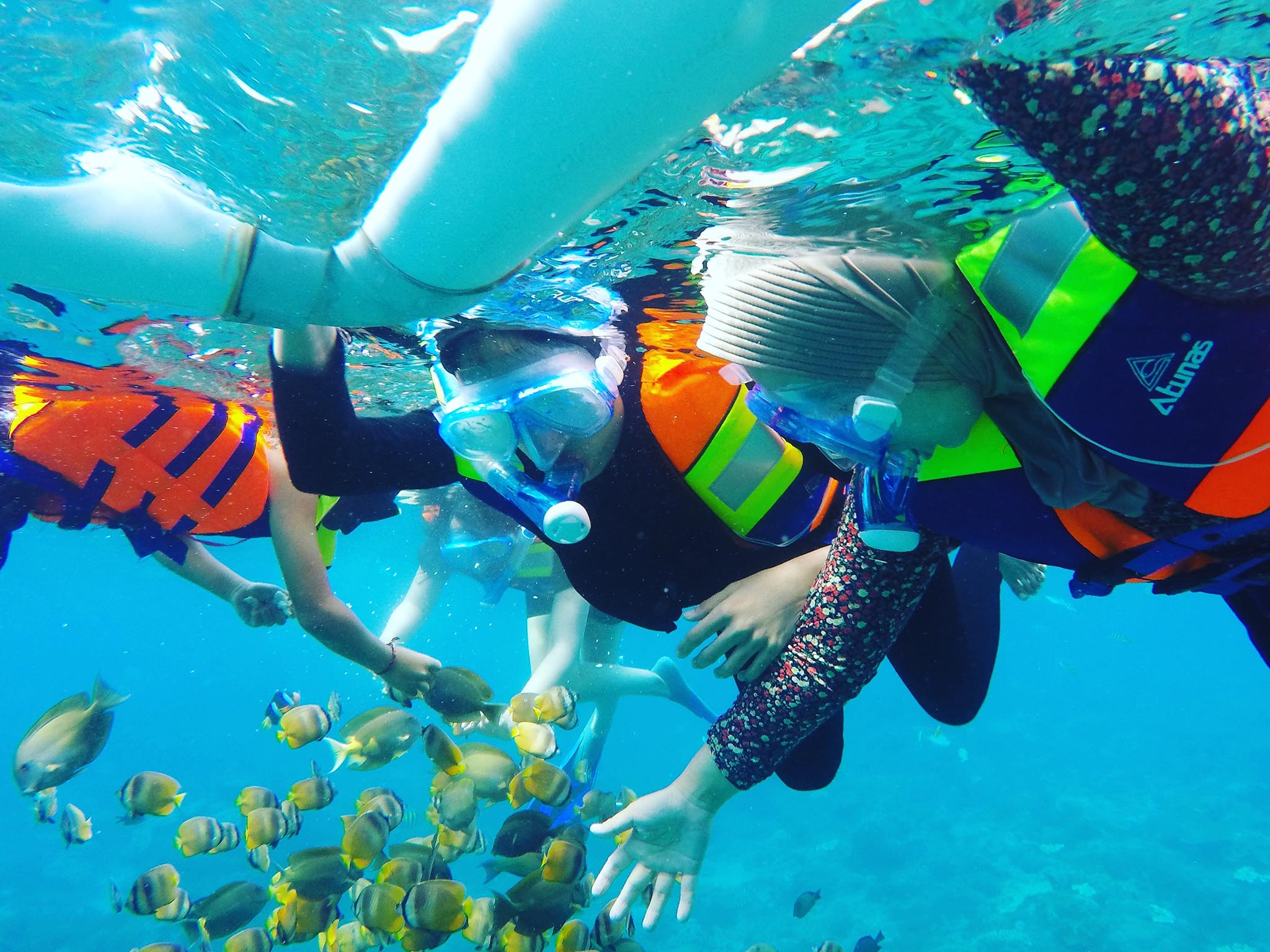Paket snorkeling bersama ke 4 spot dengan ikan berwarna-warni di Nusa Penida - Gallery 1