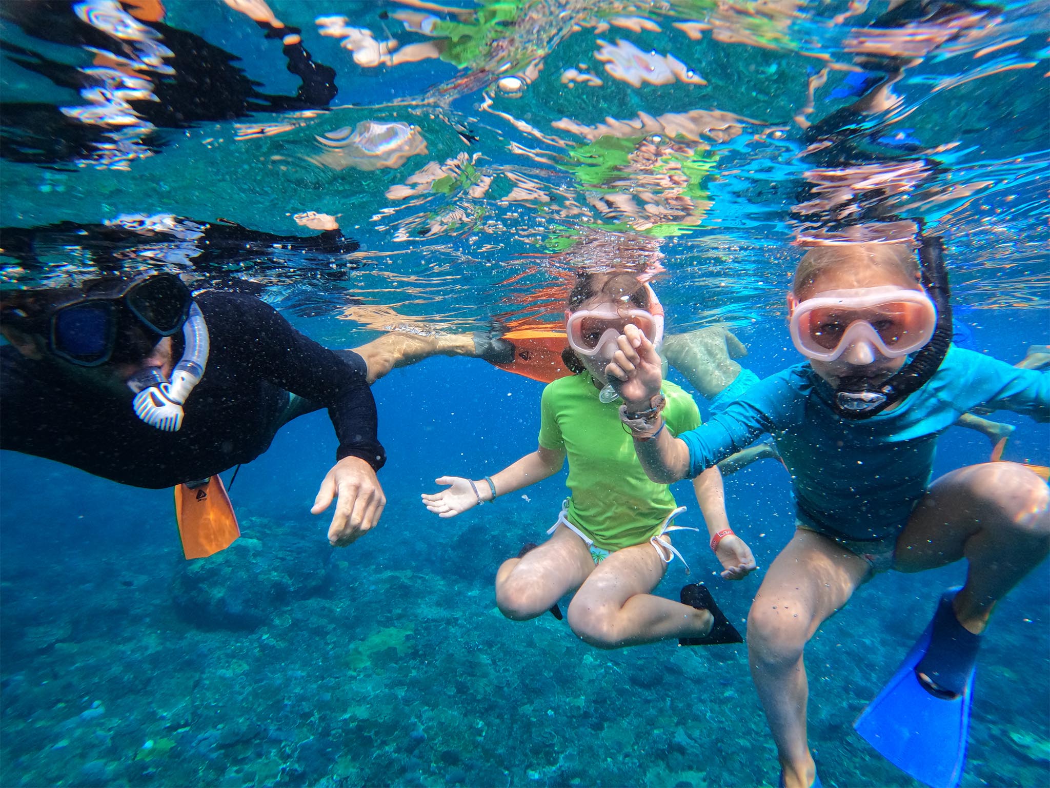 Paket snorkeling bersama ke 4 spot dengan ikan berwarna-warni di Nusa Penida - Gallery 7