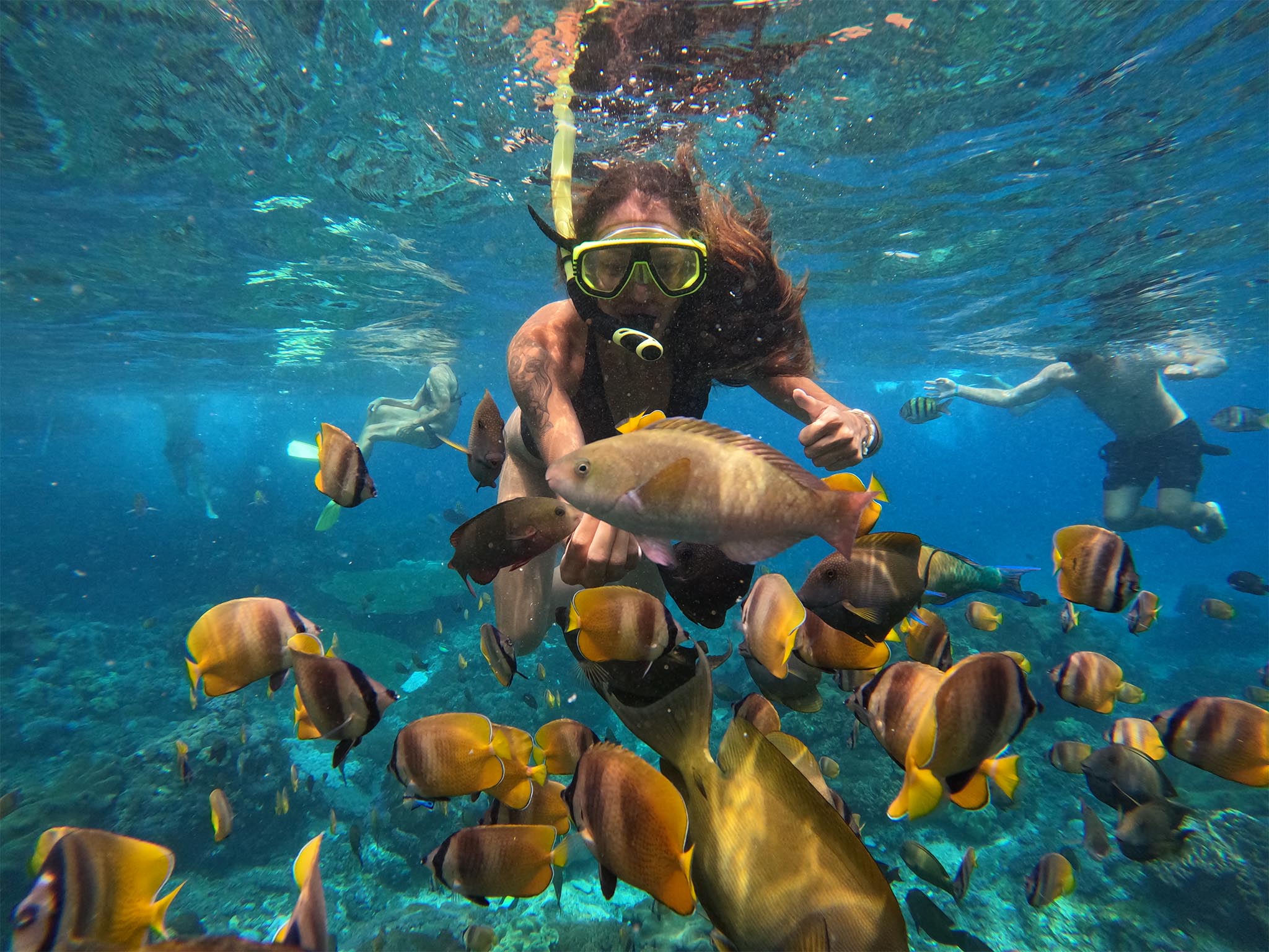 Snorkeling bersama di Manta Point dengan pemandu - Nusa Penida - Gallery 2