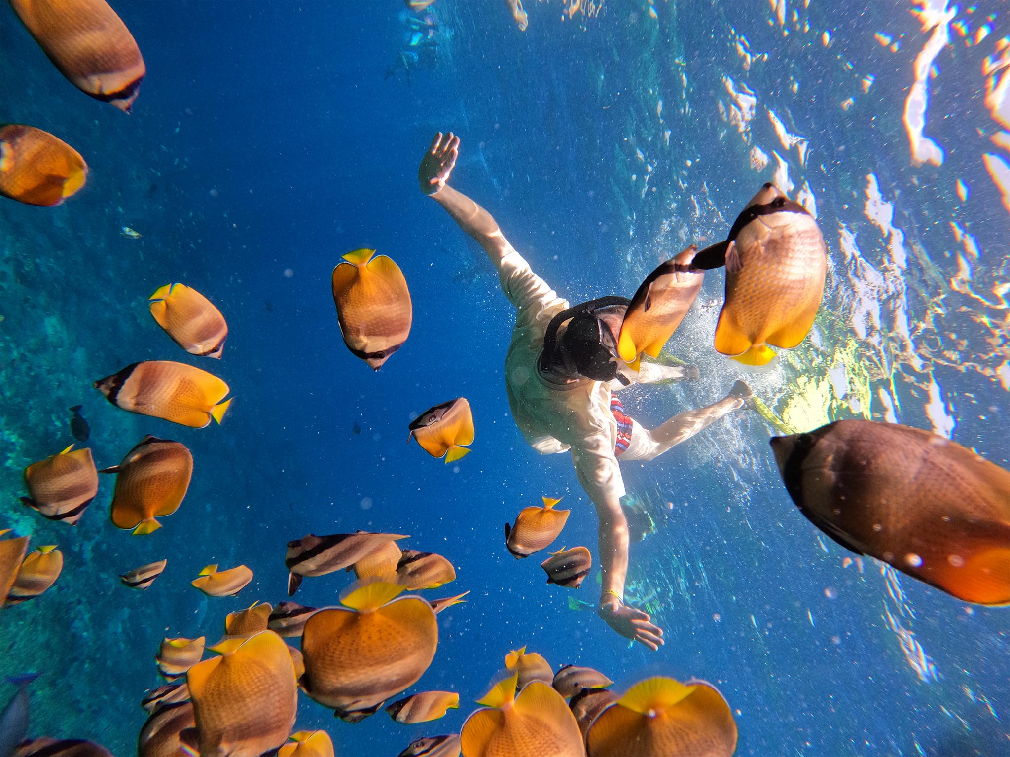 Paket snorkeling pribadi di lokasi sarang pari manta dengan pemandu di Nusa Penida - Gallery 11
