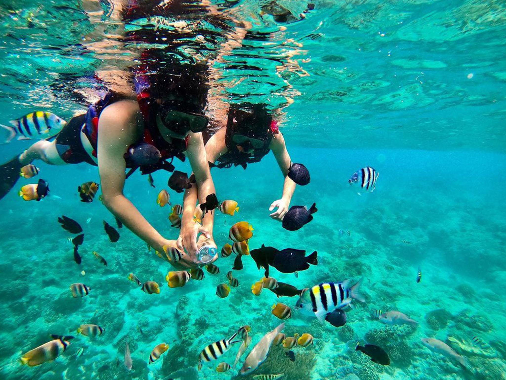 Snorkeling di Pantai Blue Lagoon dengan Makan Siang - Gallery 4