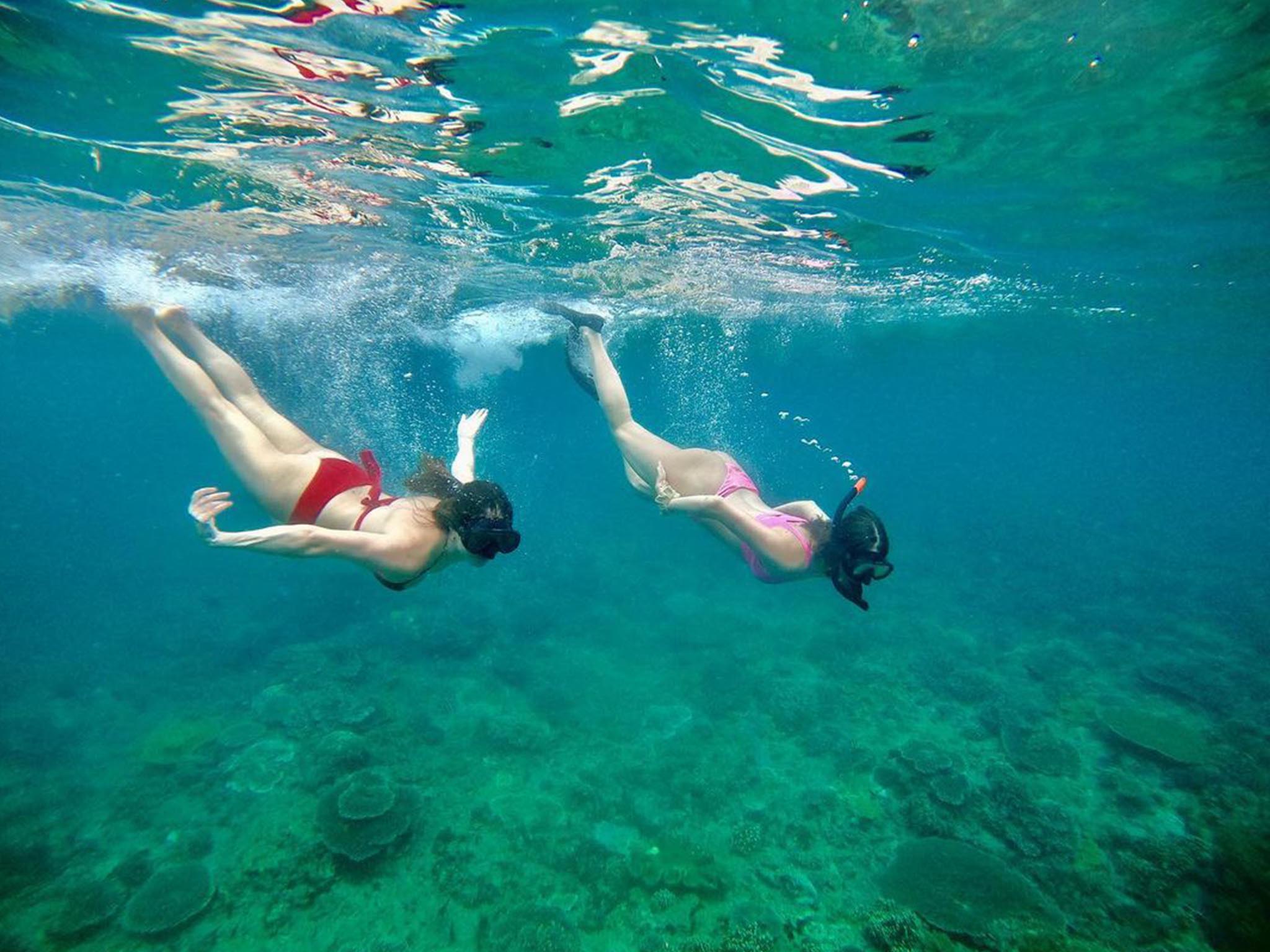 Snorkeling di Pantai Blue Lagoon dengan Makan Siang - Gallery 5