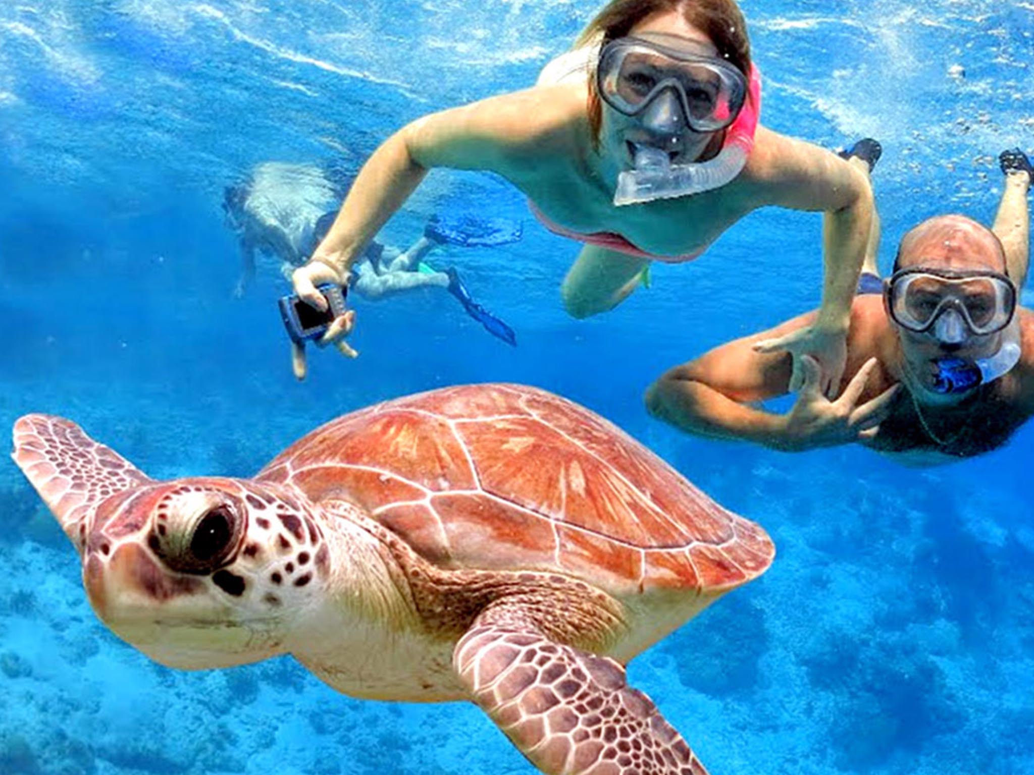 Snorkeling di Pantai Blue Lagoon dengan Makan Siang - Gallery 8