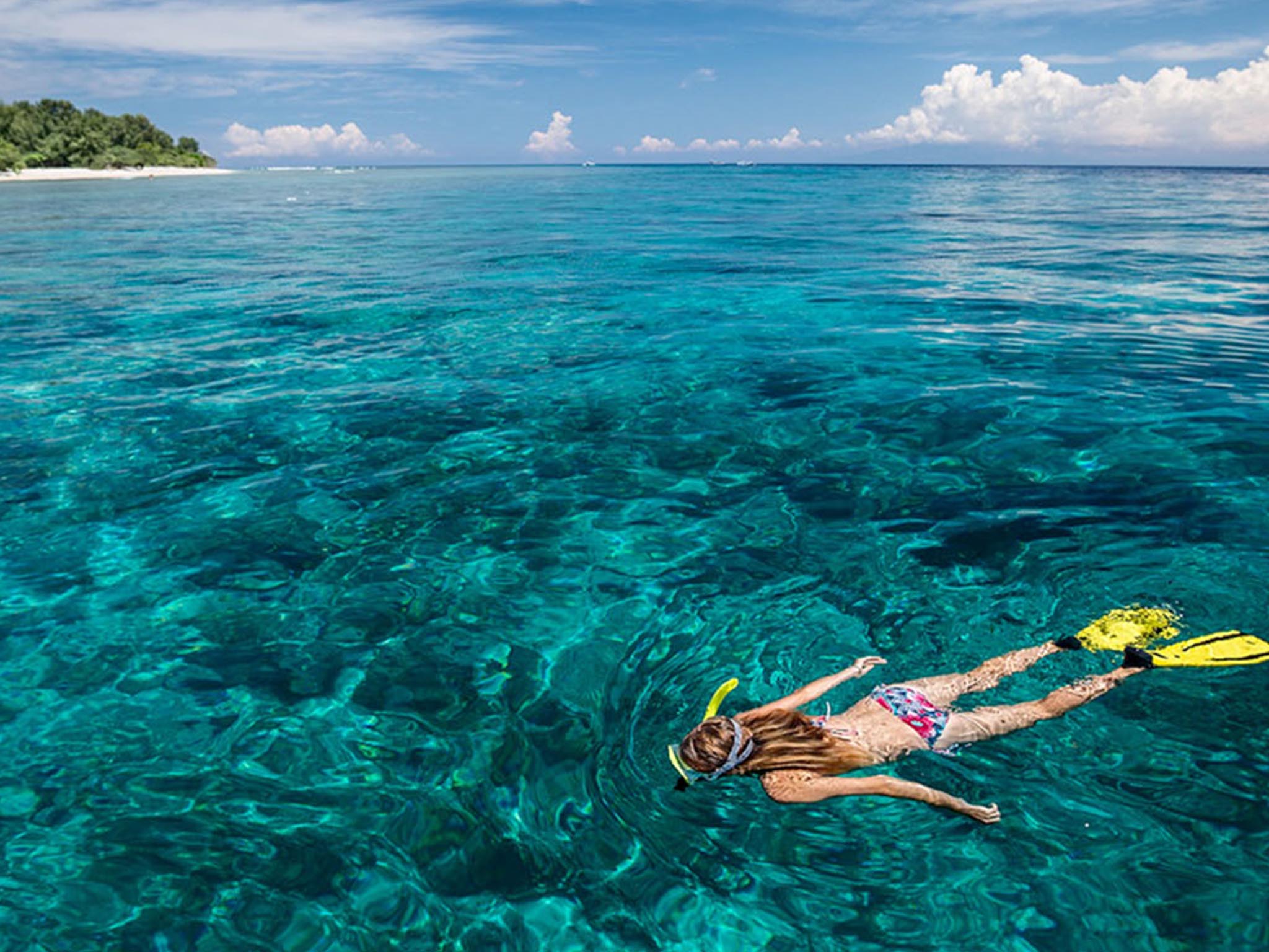 Snorkeling di Pantai Blue Lagoon dengan Makan Siang - Gallery 9