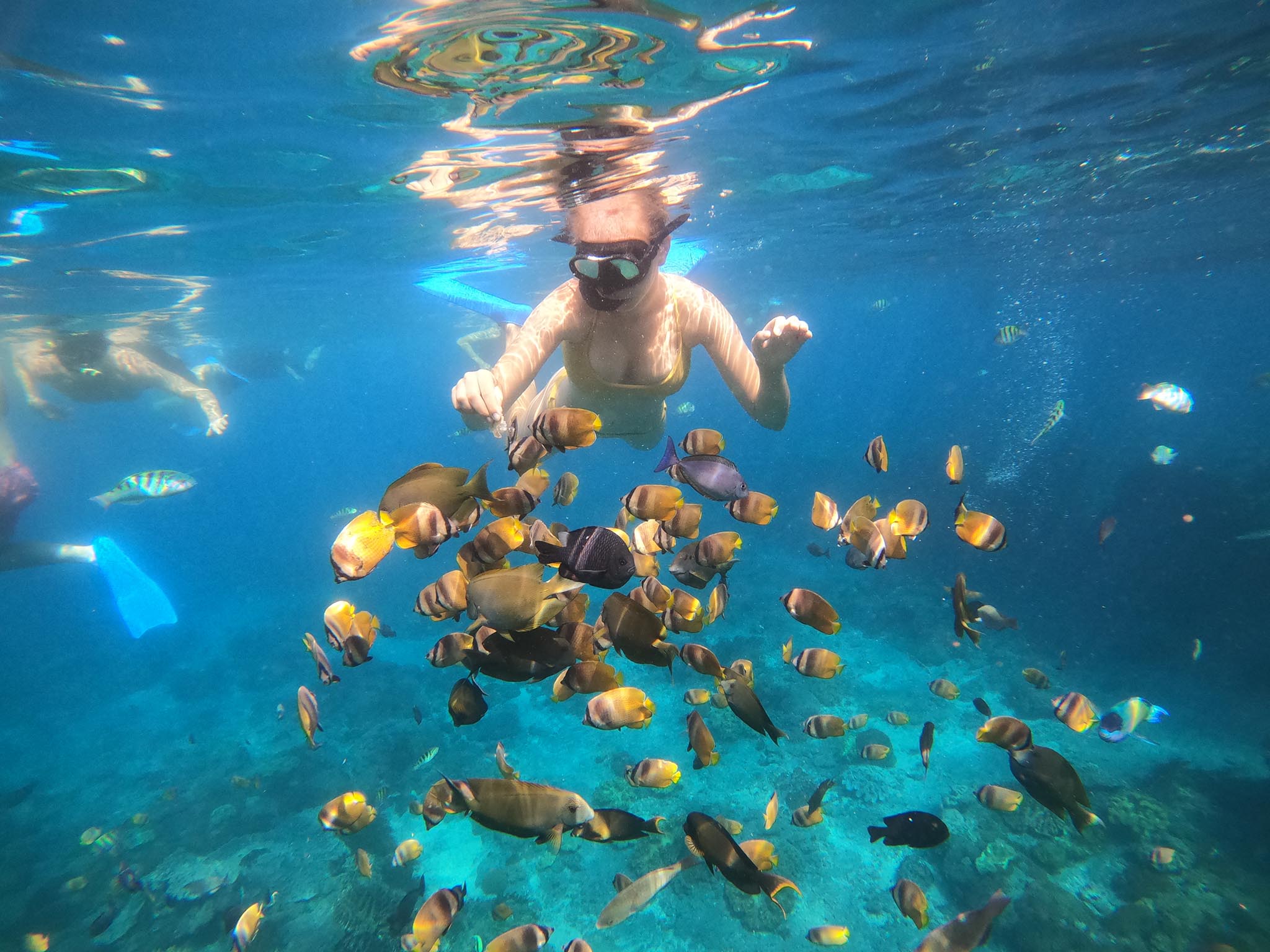 Paket snorkeling pribadi ke 4 lokasi dengan ikan berwarna-warni di Nusa Penida - Gallery 2