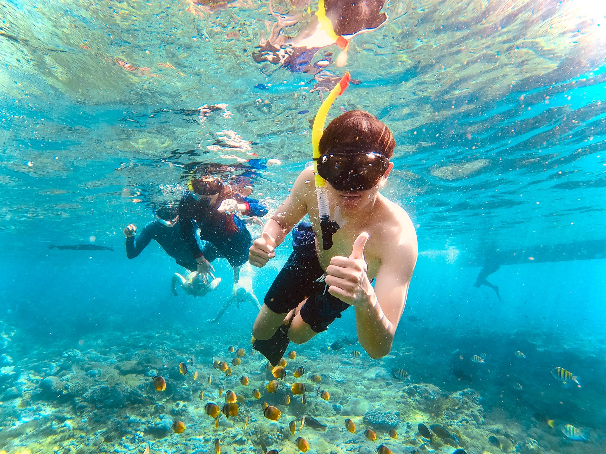 Paket snorkeling pribadi ke 4 lokasi dengan ikan berwarna-warni di Nusa Penida