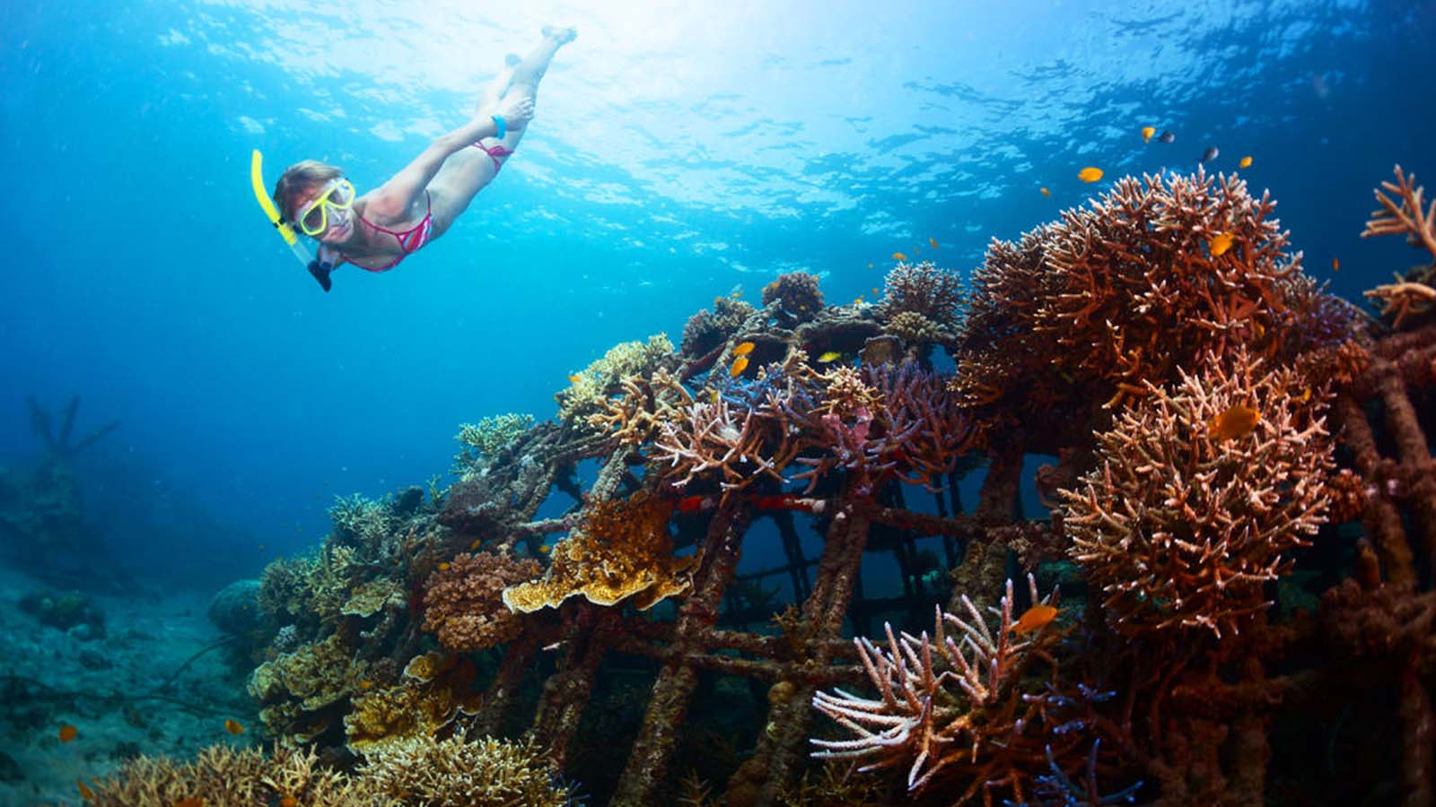 Tur Pribadi: Kuil Heaven Gate, Tirta Gangga, dan Snorkeling di Blue Lagoon - Gallery 1