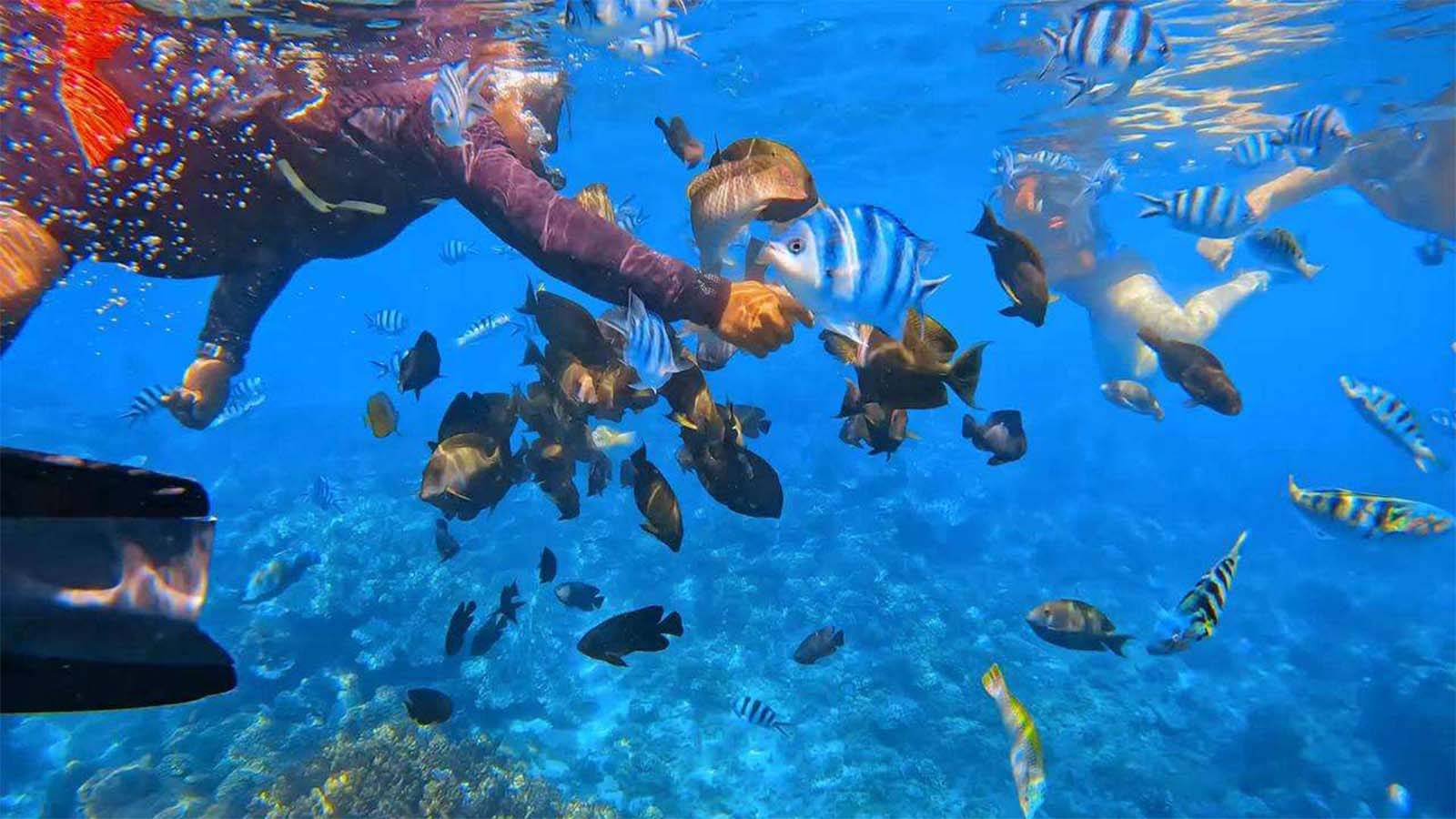 Tur Pribadi: Kuil Heaven Gate, Tirta Gangga, dan Snorkeling di Blue Lagoon - Gallery 2