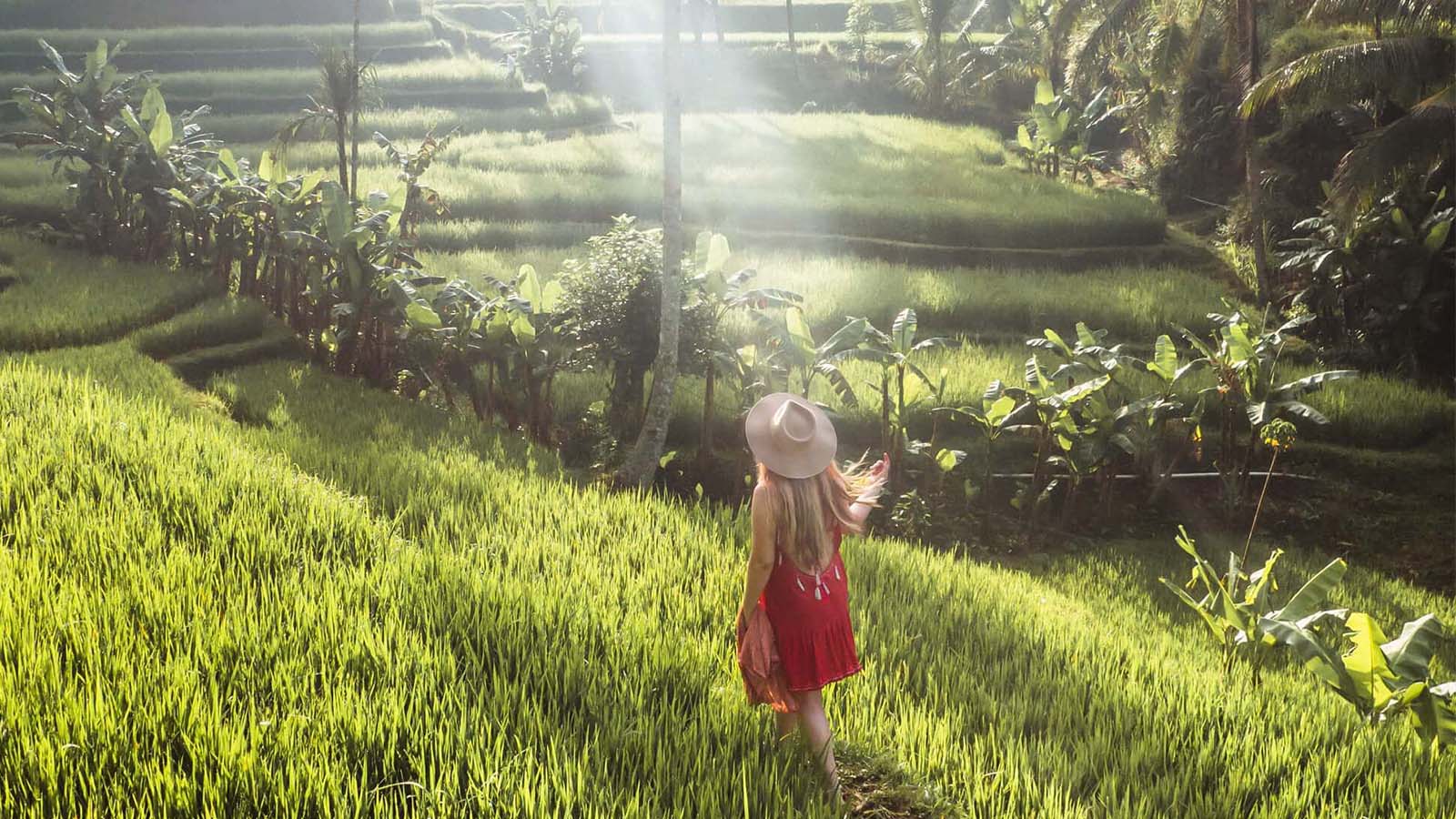 Wisata Pantai Pribadi: Tur Terbaik Bali yang Disesuaikan - Gallery 3