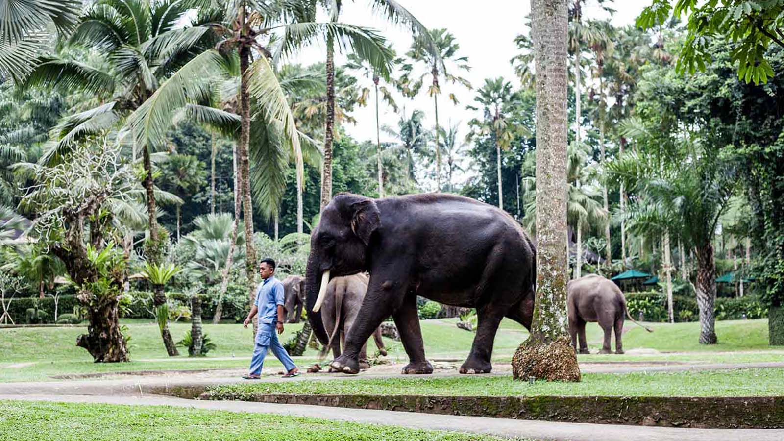 Wisata Pantai Pribadi: Tur Terbaik Bali yang Disesuaikan - Gallery 4
