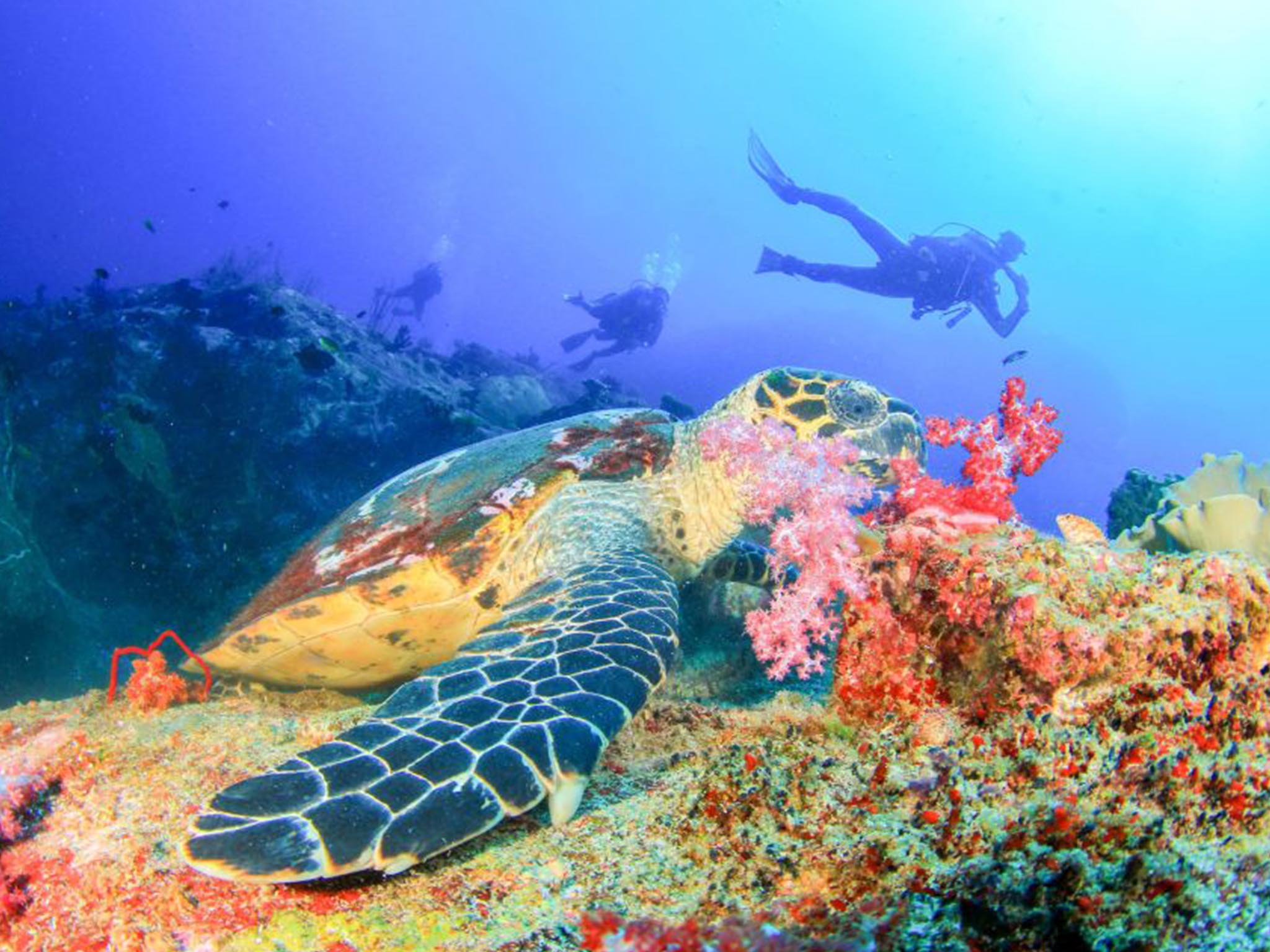 Perjalanan Menakjubkan ke Bali Timur - Gallery 1
