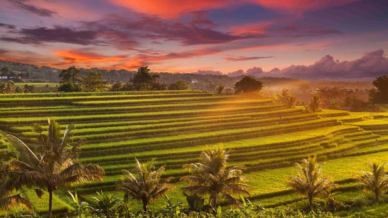 Bali Barat Laut yang Menakjubkan - Gallery 4